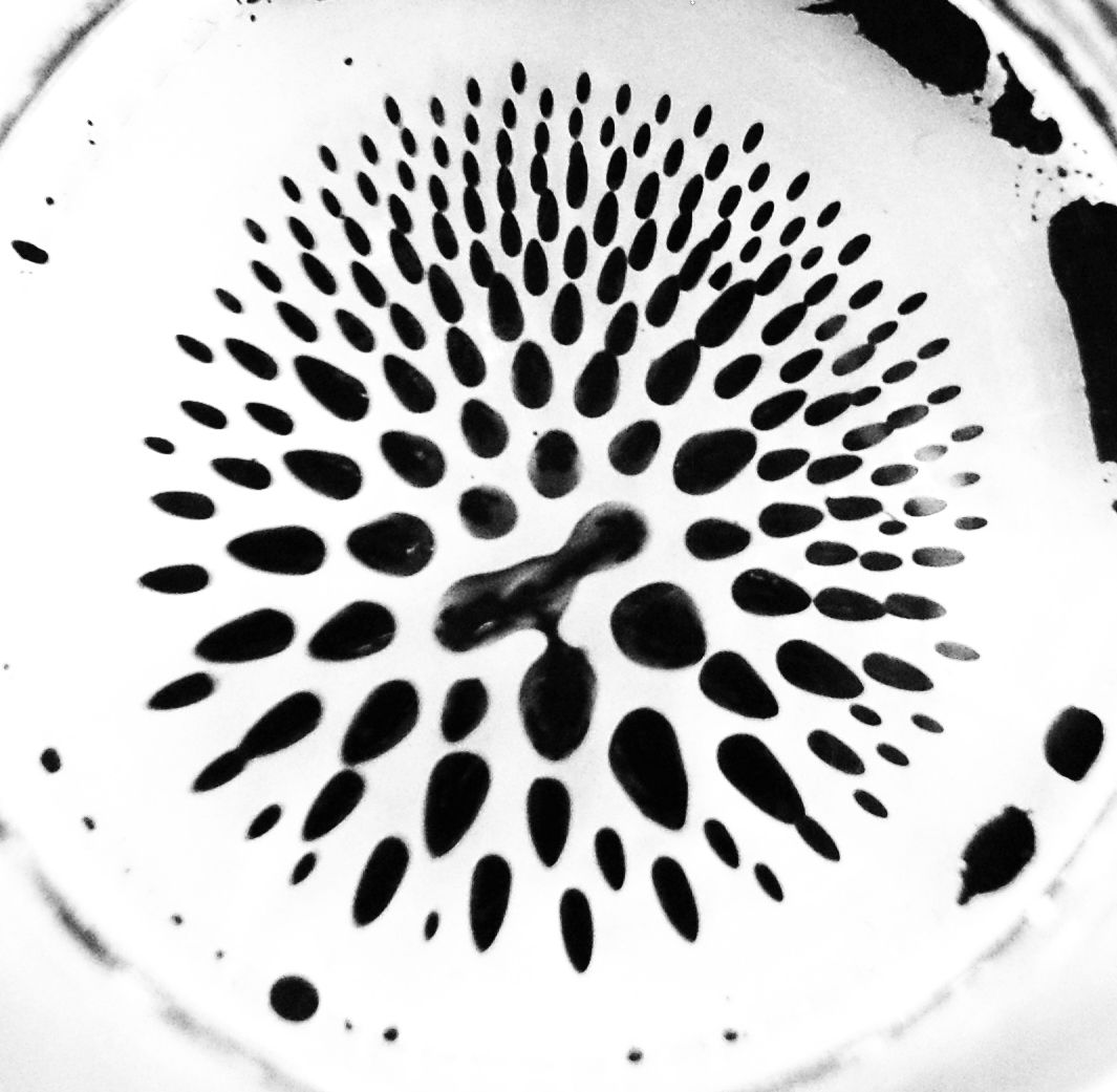 ferrofluide